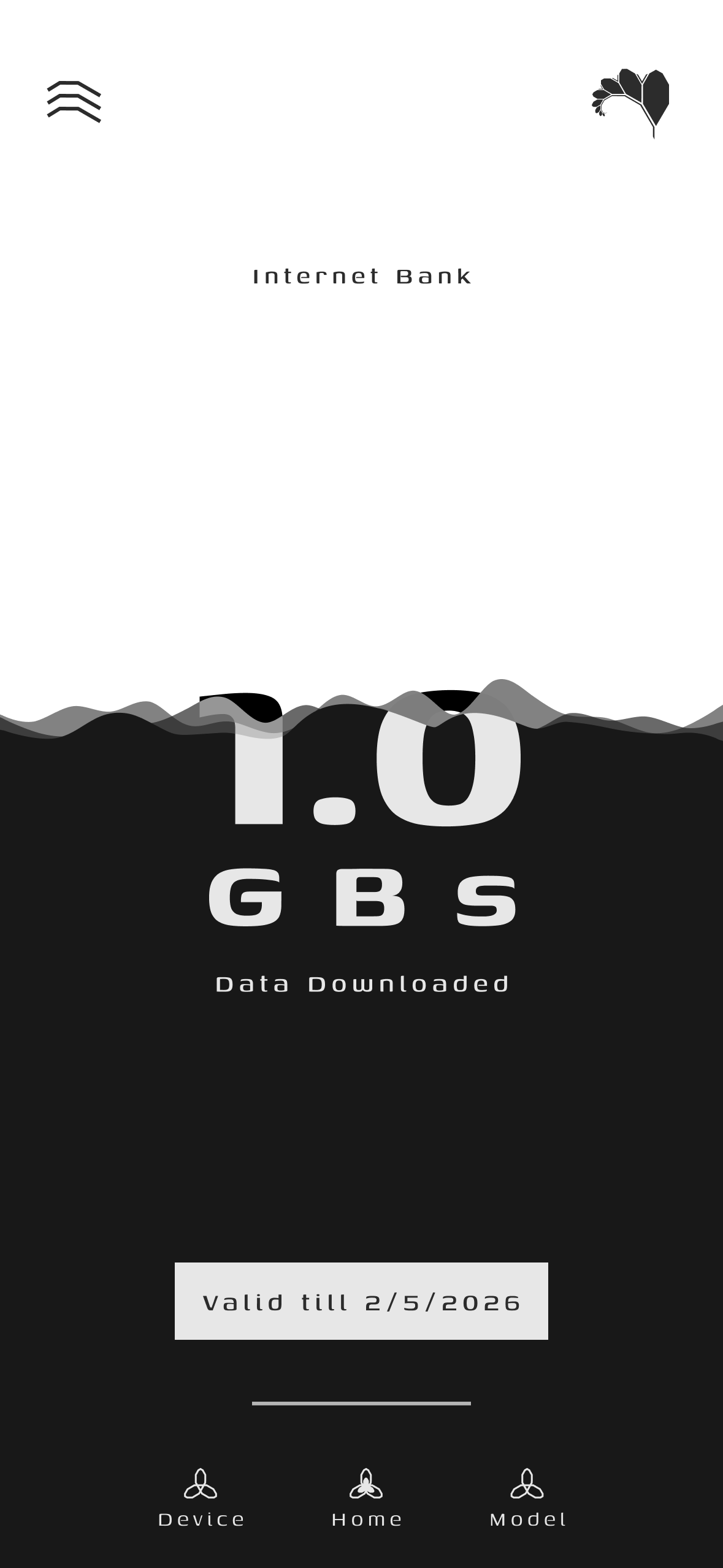 Internet Bank 1.0 GB